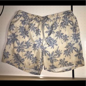 Cedarwood State Men’s Swimsuit